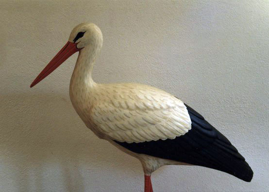 Cigüeña blanca – Ciconia ciconia 