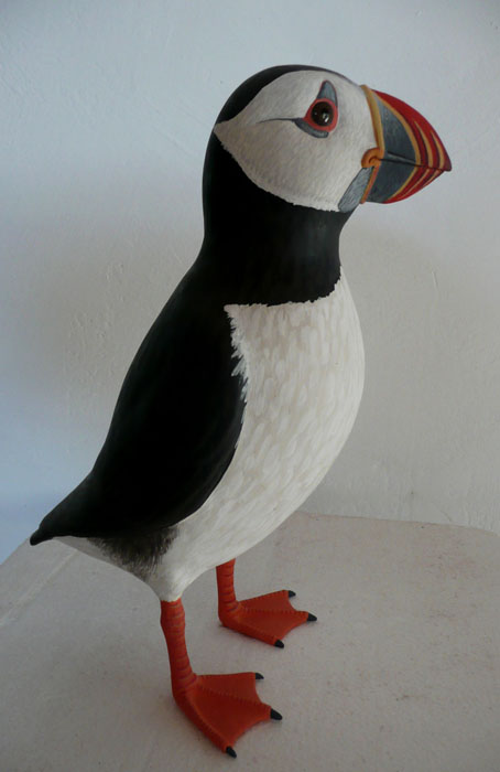 Frailecillo atlántico - Fratercula arctica