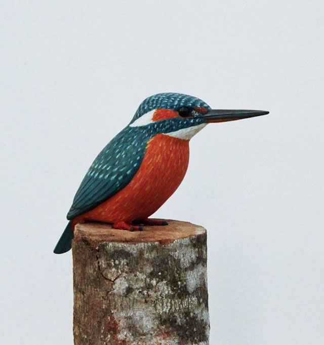 Martín pescador -  Alcedo atthis