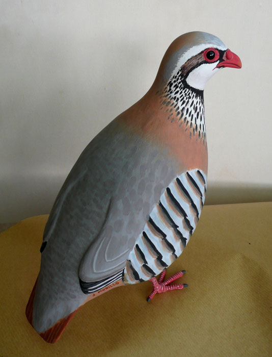 Perdiz roja - Alectoris rufa